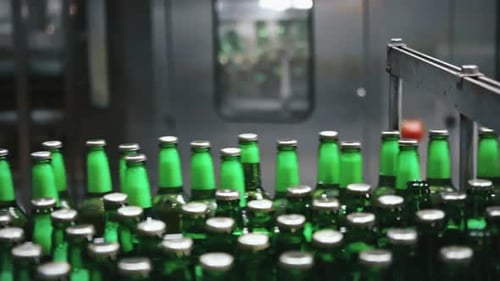 Green glass beer bottles moving on industrial conveyor belt