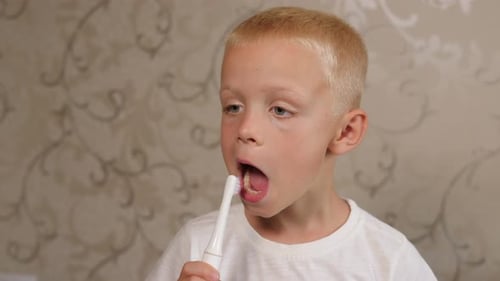 Young Boy Brushing Teeth with Electric Toothbrush