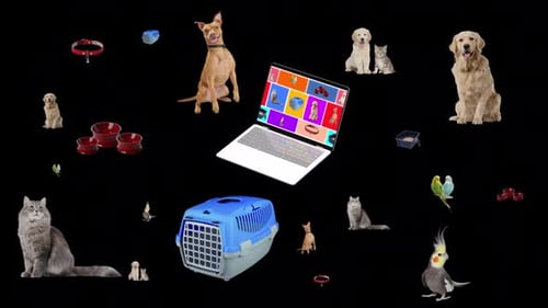 Animation animée de produits pour animaux de compagnie. Arrière-plan transparent et vidéo en boucle.