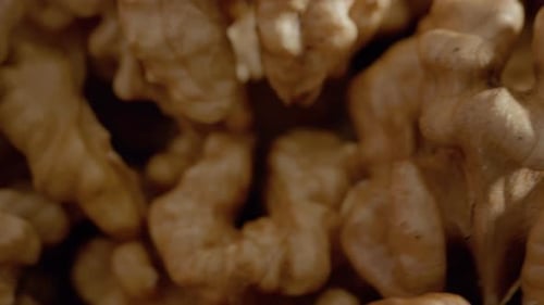 Macro Shot of a Pile of Walnuts
