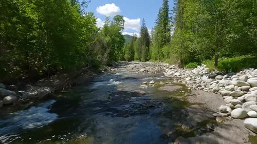 Aerial View of Mountain Brook or River Flowing in the Green Valley
