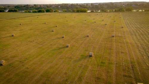 Farming Hay Bales on Agricultural Field After Crops Harvesting at Sunset Countryside Rural Area Roll