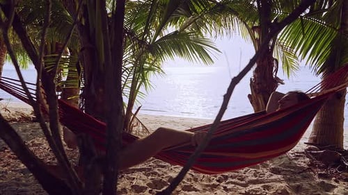 Man reclining in a hammock tied to palm trees on sandy beach with ocean in background showing calm v