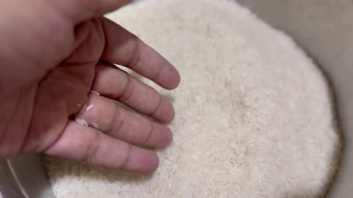 Hand Holding and Touching White Rice Grains