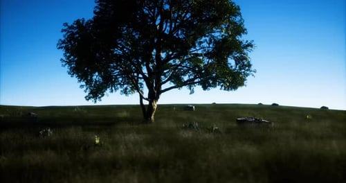 Animated Realistic Tree in a Grassy Field Under Blue Sky