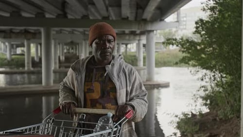 Man with Shopping Cart Stands Underneath Overpass