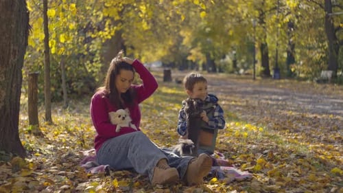 A Family Plays with Dogs Sitting on a Leaf in an Autumn Park