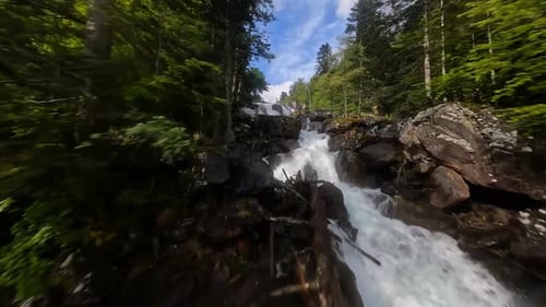 A Rushing Mountain Stream Cascades Through a Lush Green Forest
