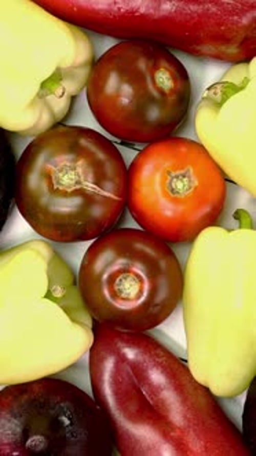 Assortment of Homegrown Mediterranean Fresh Vegetables for Healthy Cooking