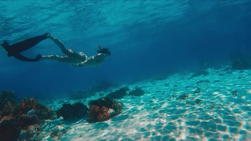 Female Freediver in Bikini Swims Underwater in the Tropical Sea and Glides Over the Reef