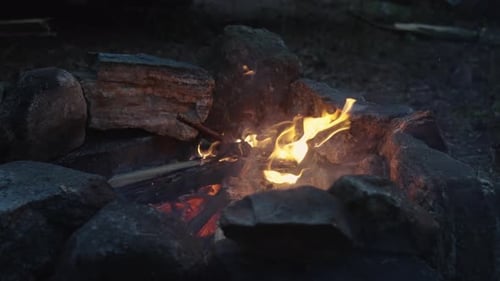 Bright Orange Flames licking up in the air, Slow Motion shot of small campfire burning wood surround