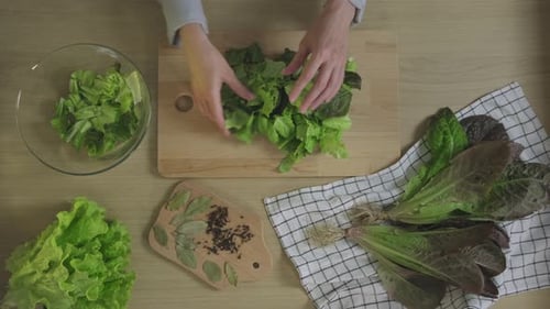 Chopping green lettuce leaves on cutting board to eat. Healthy food