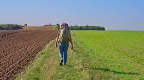 Following behind trekking hiker split between a grassy meadow and a plowed agriculture field