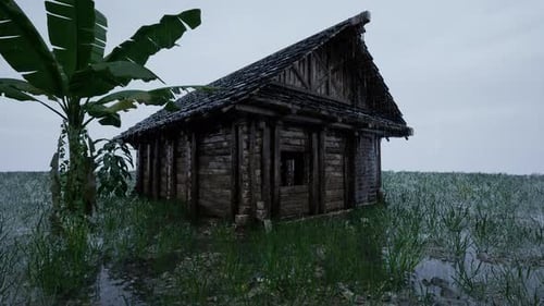 Rain falls in the countryside at dawn