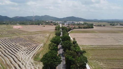 Aerial move over the asphalt road of paddy field