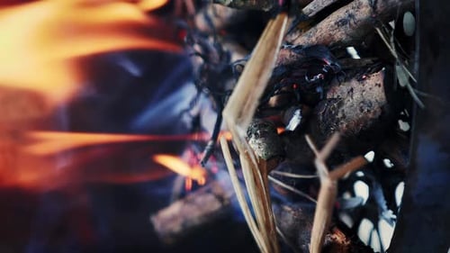 Close Up of Fire and Burning Wood