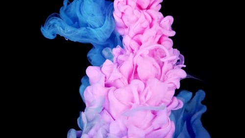 Abstract Pink and Blue Ink Swirls on Black