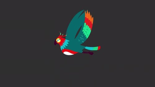 Colorful Parrot Fly Animation