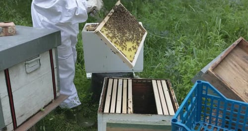 Männlicher Imker hält Bienenhaus in der Hand - Mann im Schutzanzug arbeitet an Waben