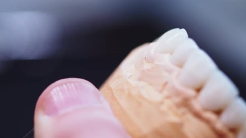 Dental Mold Being Worked on in Close Up