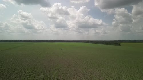 Blue tractor working on the field. Spraying the sunflower with herbicide