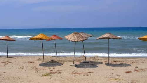 sun umbrellas at the beach