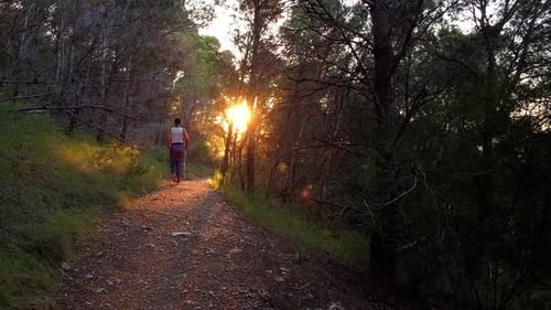 woman hiking outdoors in nature walking, strolling, wandering at the countryside, forest or woods