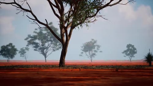 Vibrant Landscape of the African Savanna Showcasing Distant Trees and Red Soil