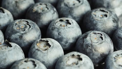 Blueberries super macro, slide video