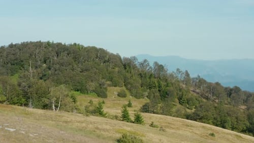 Lush Green Landscape And Nature Vegetation On Radocelo Mountain In Serbia - aerial drone shot
