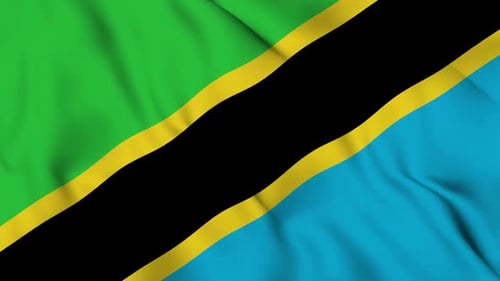 Realistic Waving Flag of Tanzania Loop Animation