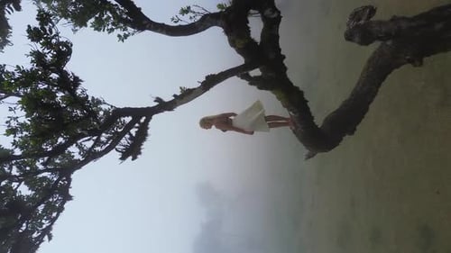Beautiful blonde girl standing on a branch of a tree in a mysterious misty forest