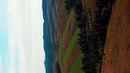 Green agriculture fields and meadows at countryside mountain landscape. Vertical video
