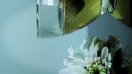 Organic chrysanthemum flower tea in glass cup. Arome teatime