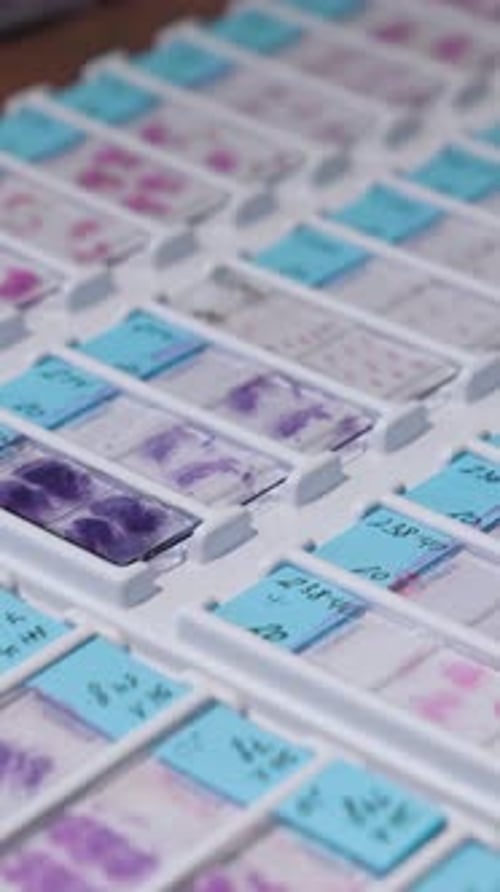 Close Up of Numerous Labeled Scientific Slides