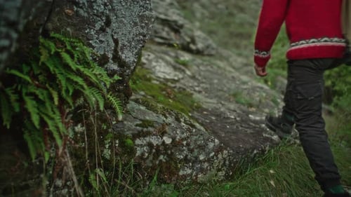Hiker with Backpack Walking Uphill on Rocky Trail in Green Forest