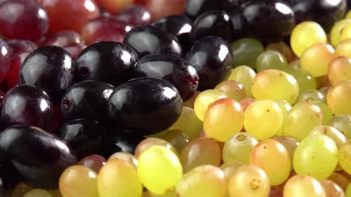 Fresh grapes of different varieties rotate as a background. Grape close up, concept winemaking