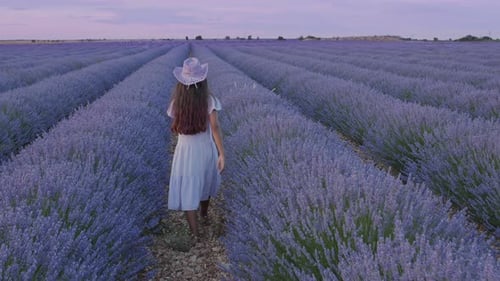 Girl Walks Through Lavender Field at Sunset