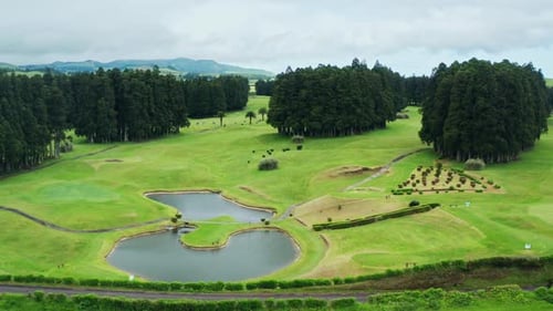 Cinematic aerial drone shot of green golf course.