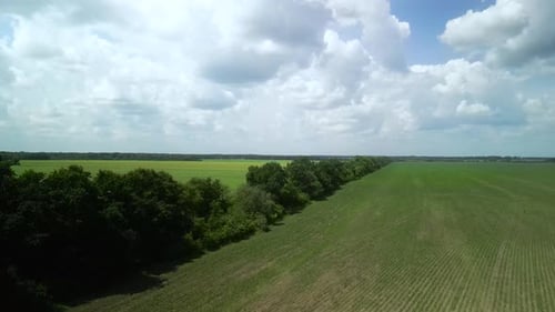 Luftbild auf der grünen Wiese in der Ukraine