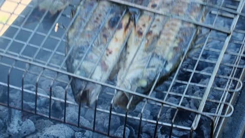 Meeresfisch mit aromatischen Gewürzen auf einer Grillplatte garen. Wolfsbarsch oder Zackenbarsch