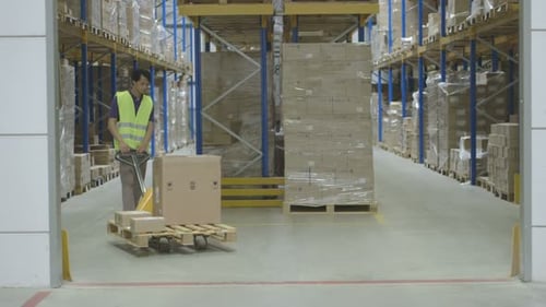 MS Warehouse worker loading cardboard boxes