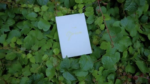Wedding Card for Groom on Lush Green Leaves