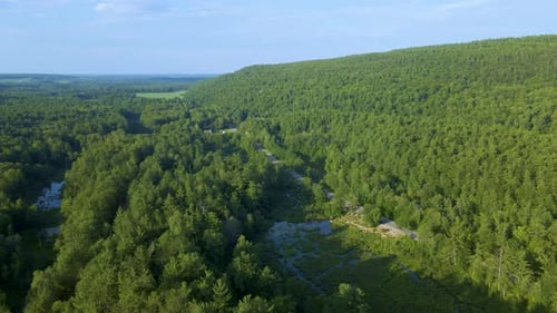 Arco aéreo/avión Zumbido tripulado/órbita sobre bosque de montaña con carretera y lago