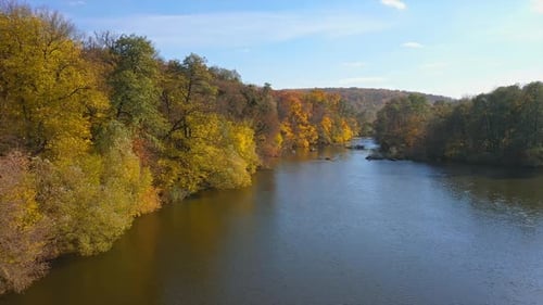 Aerial view. Flying over the beautiful sunny forest trees and wide river.