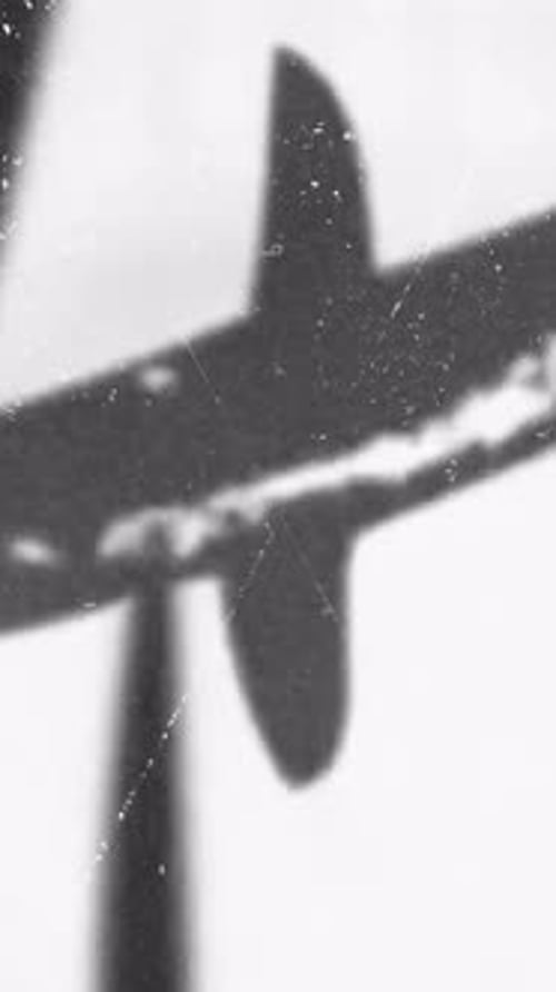 Vertical Retro Film Texture with Dust Particles and Scratched Surface