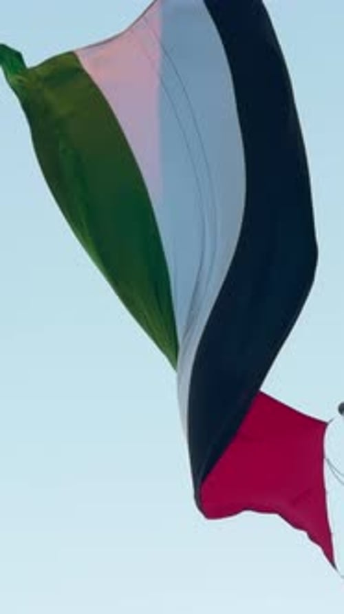 Flag Waving Against the Sky