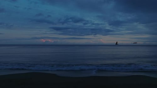 Sideway Tracking of Two Birds Flying Above Water Along Ocean Coast at Dusk