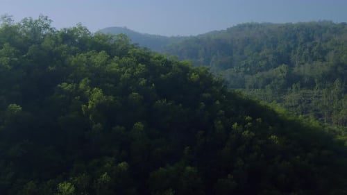 Luftaufnahme eines tropischen Flusses, der sich durch üppige Regenwälder schlängelt