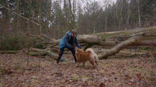 Playful Dog and Owner Enjoying Forest